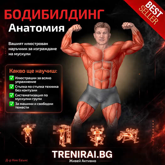 тренировка
