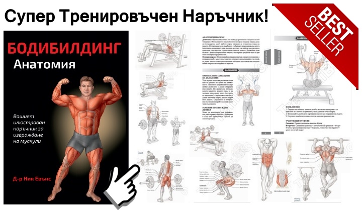 мускулна маса